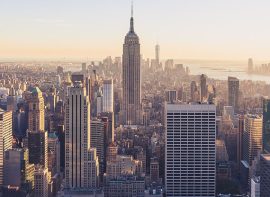 New York Rug Tufting Workshops